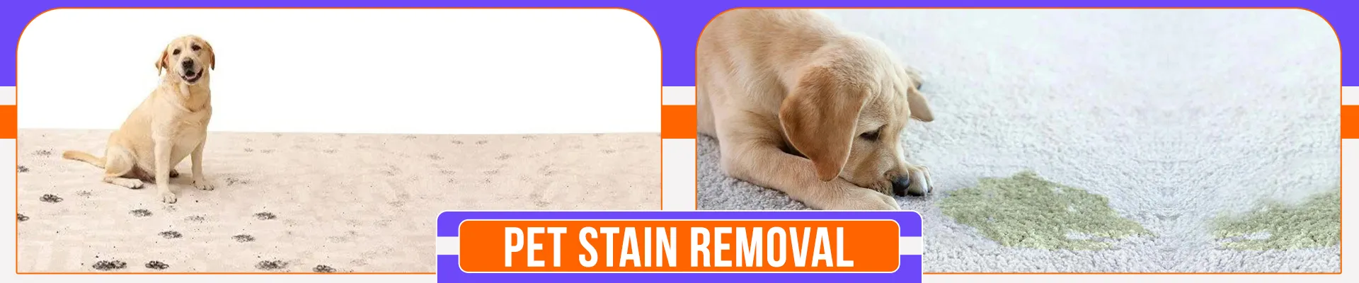 carpet cleaners in Brooklyn, carpet cleaning in Brooklyn, carpet cleaning bkln, carpet cleaners in brooklyn,  commercial carpet cleaning, commercial carpet cleaning in brooklyn,carpet cleaning in brooklyn,  brooklyn rug cleaners, rug cleaning services in brooklyn, same day carpet cleaning, same day rug cleaning